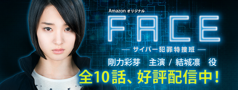 「フェイス―サイバー犯罪特捜班―」