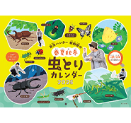 牧田習】10月3日（木）「昆虫ハンター牧田習の春夏秋冬むしとり