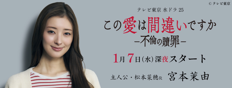 この愛は間違いですか～不倫の贖罪